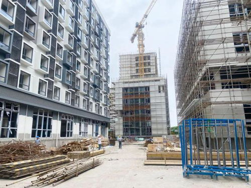 建筑科技融入文化创意，松江特色产业园吸引优质项目蜂拥而至